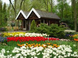 สร้างภาพลักษณ์ที่ดีเพื่อผลักดันการส่งออกไปยังเนเธอแลนด์